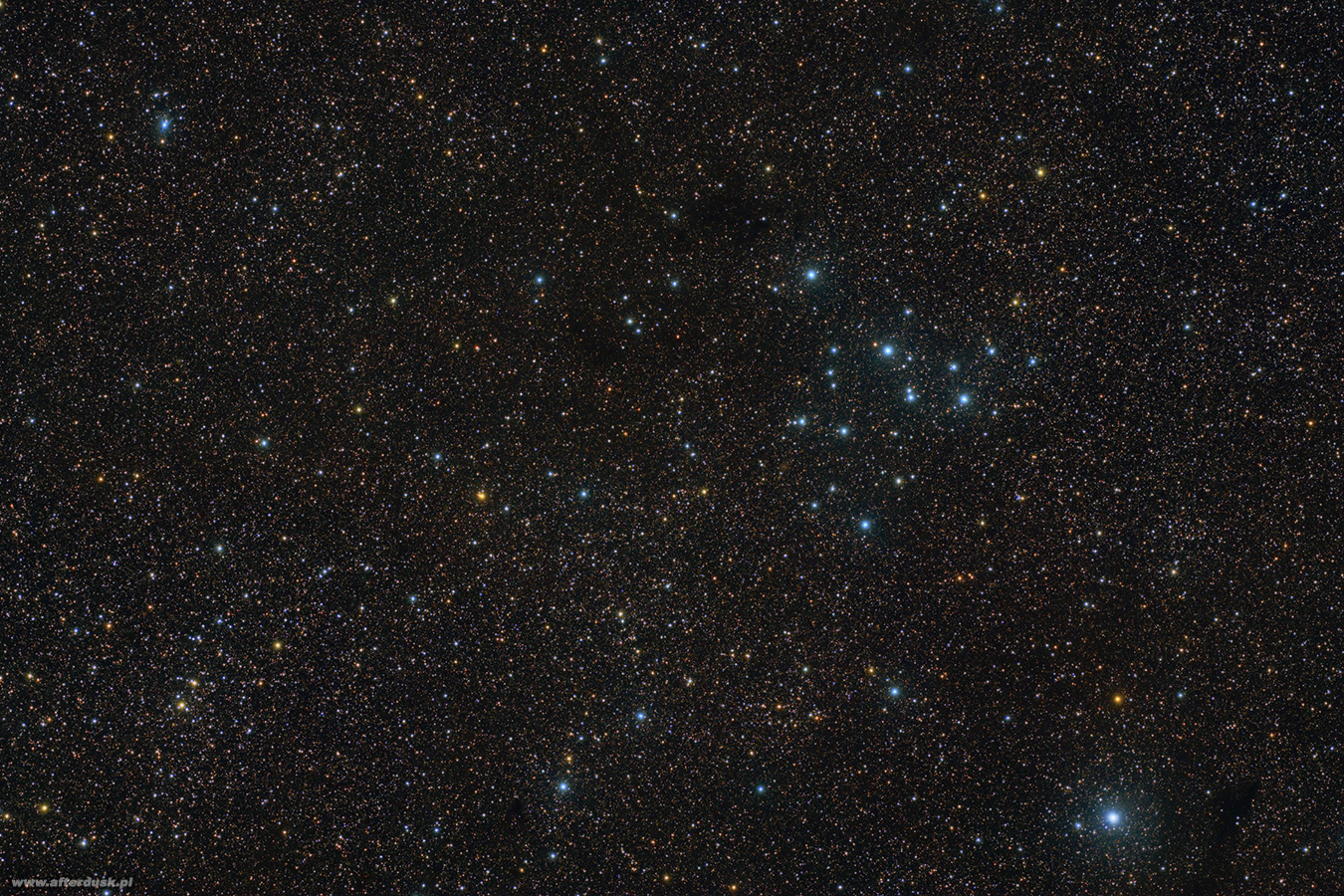 M39 i NGC7082