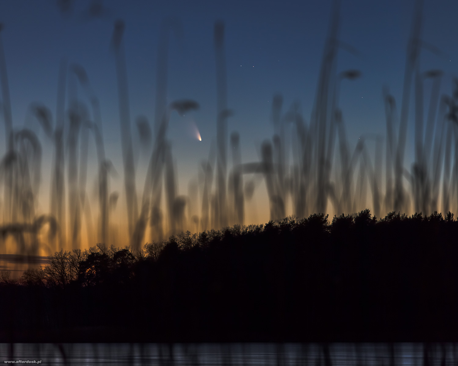 C2011L4 PANSTARRS