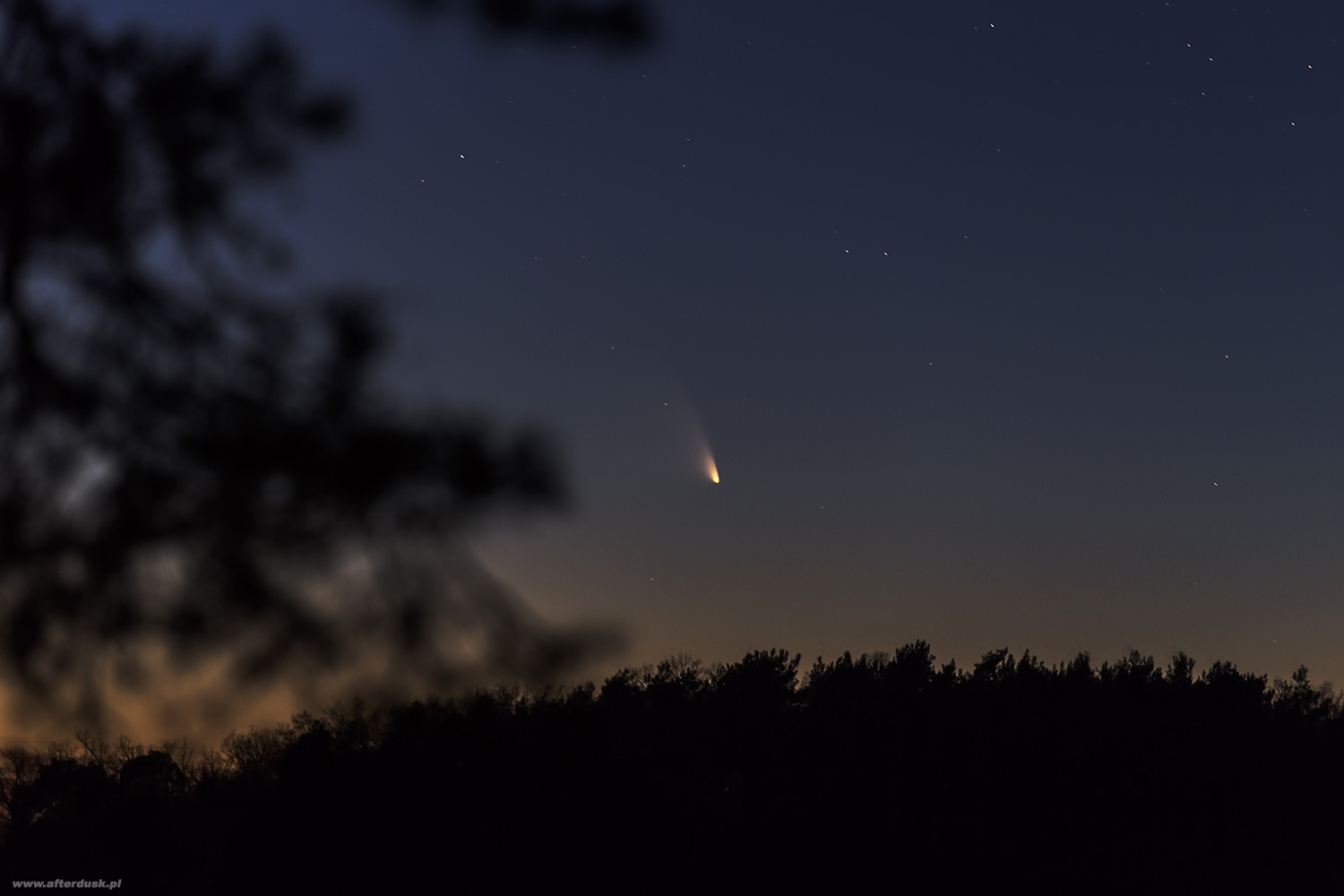C2011L4 PANSTARRS