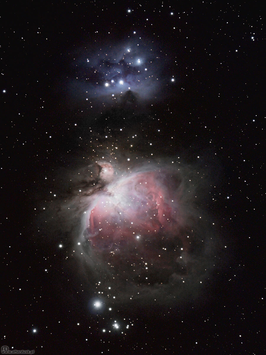 M42