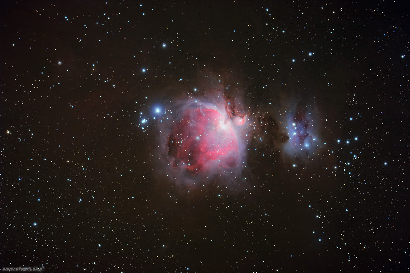 M42