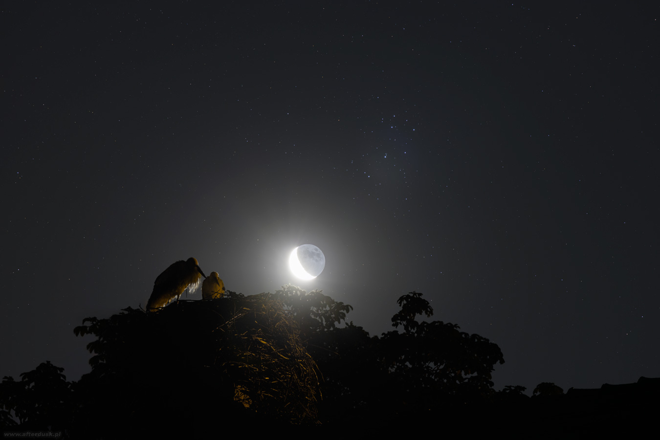 Księżyc i Plejady nad bocianim gniazdem, 00:21-00:28UT