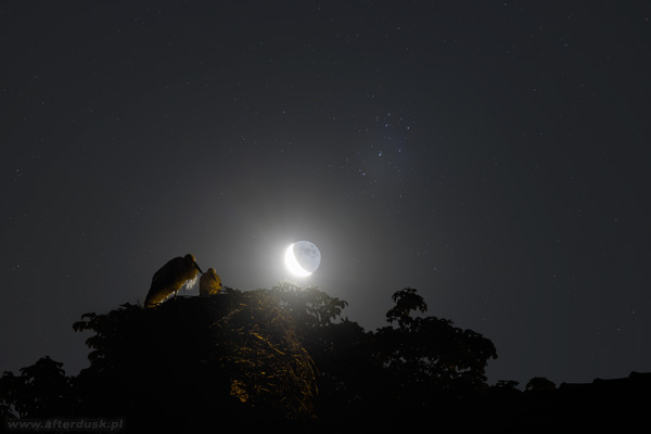 Księżyc i Plejady nad bocianim gniazdem, 00:21-00:28UT