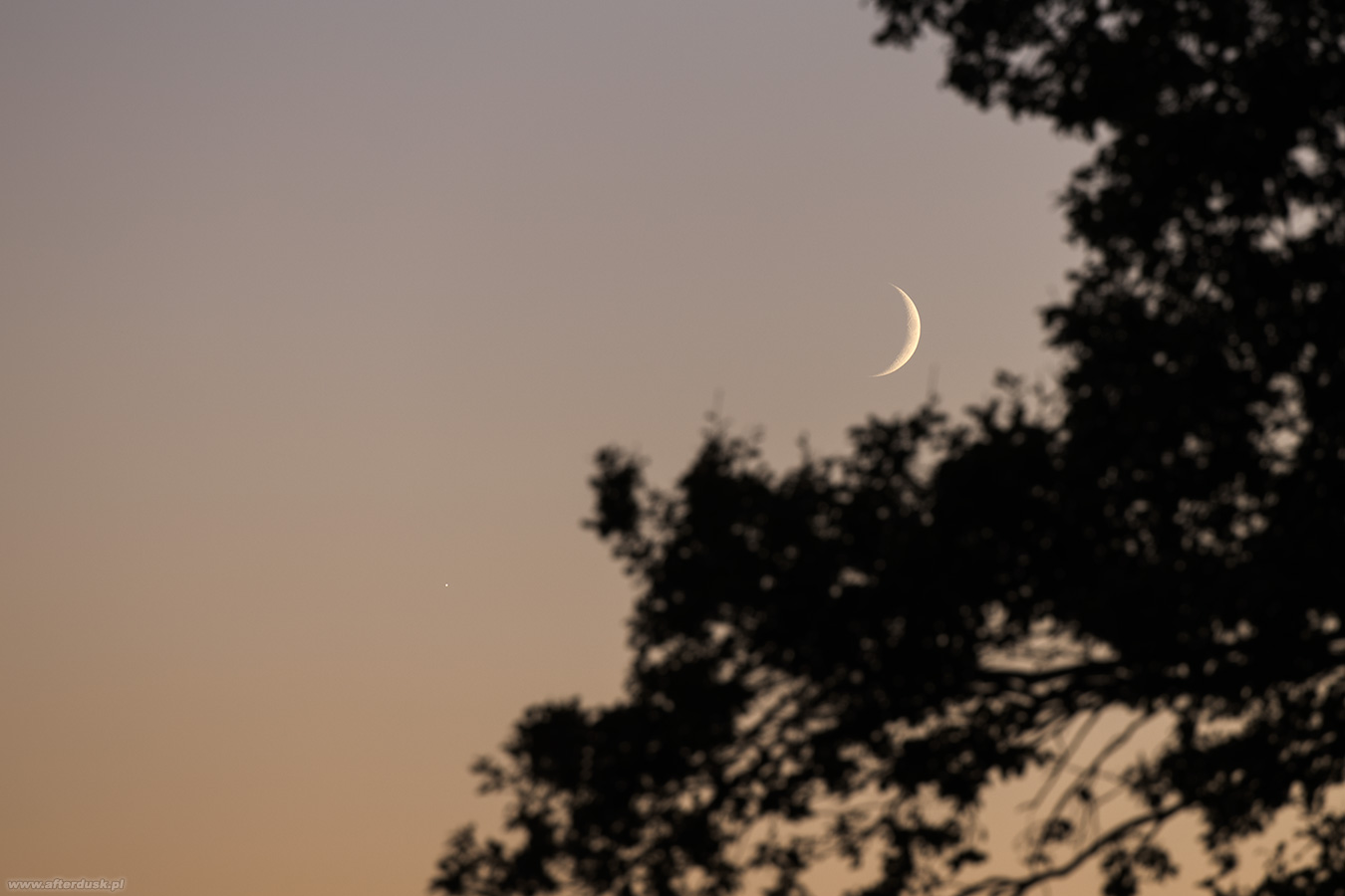 Księżyc i Wenus 16:31UT