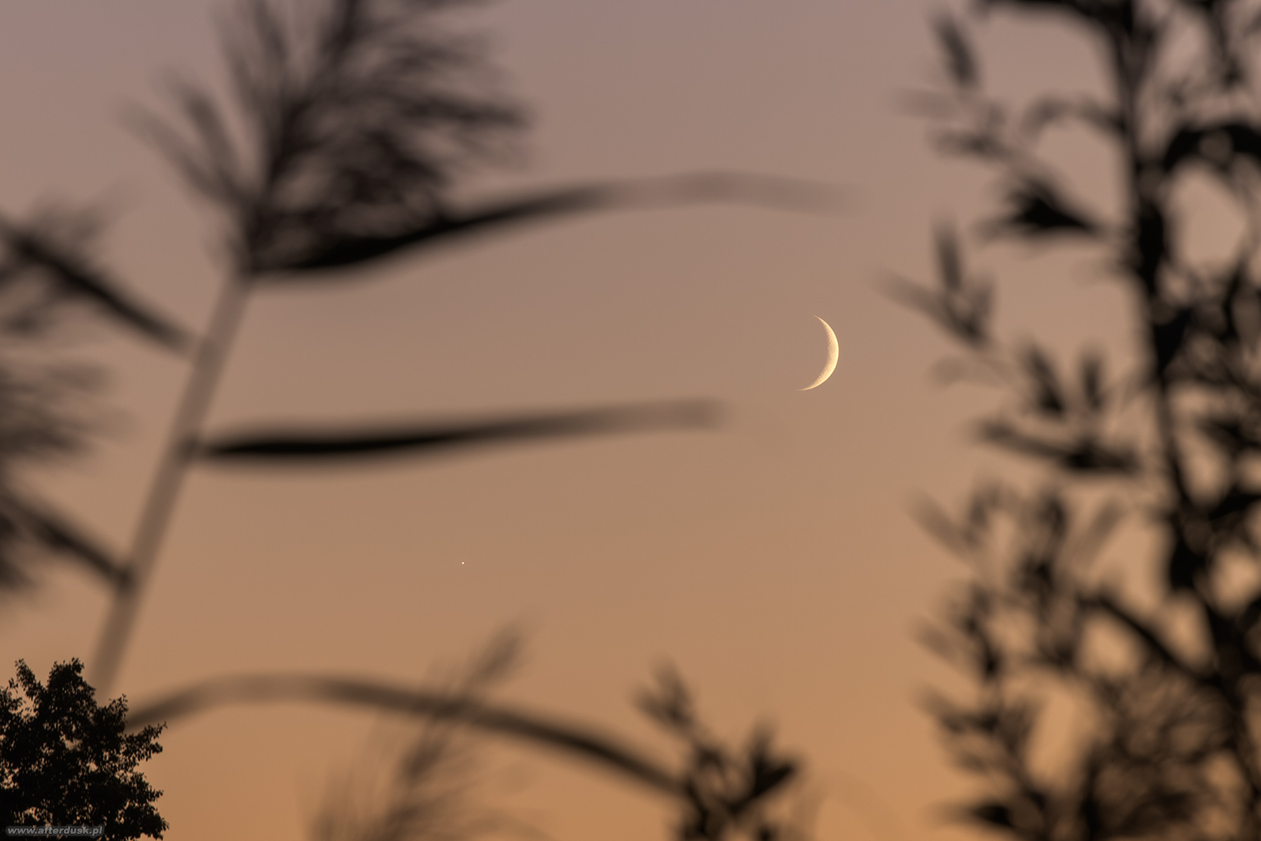 Księżyc i Wenus 16:36UT