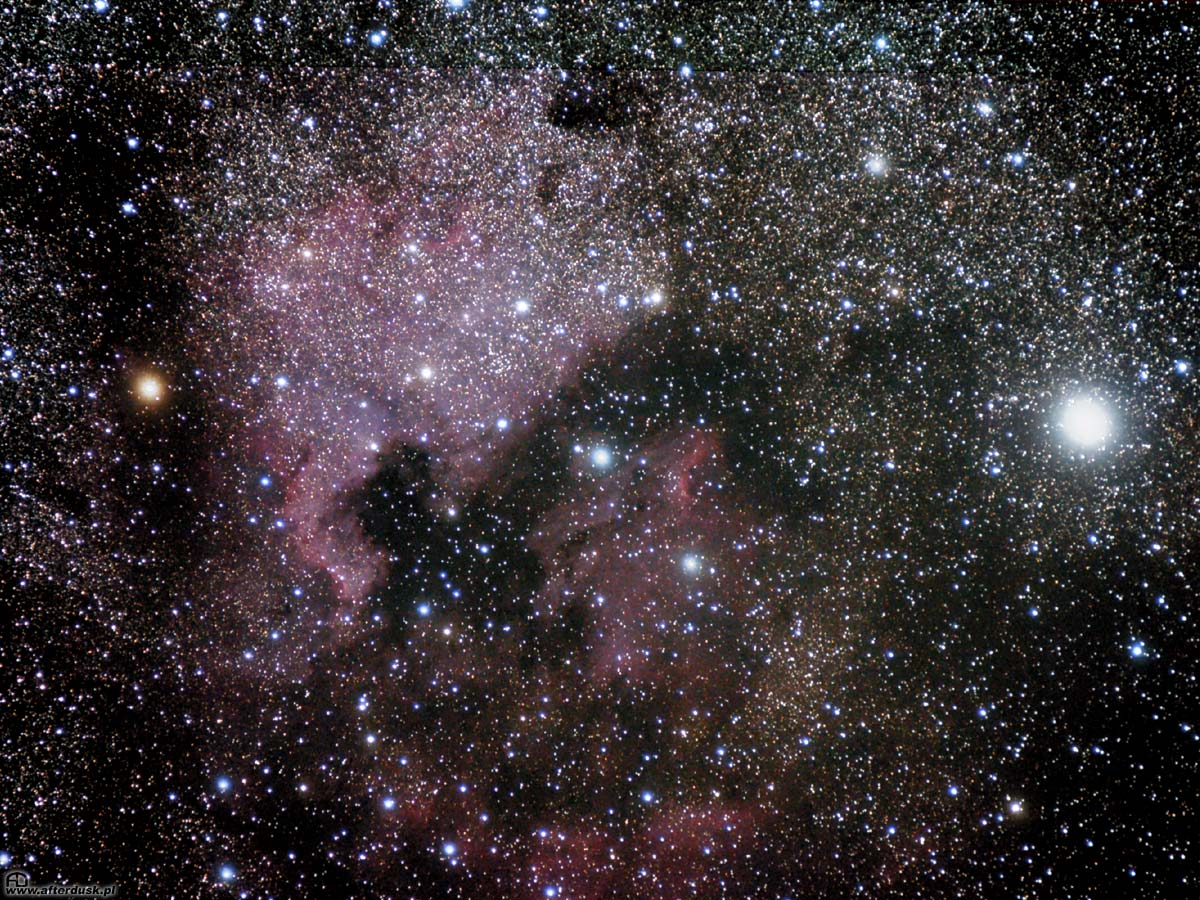 NGC7000